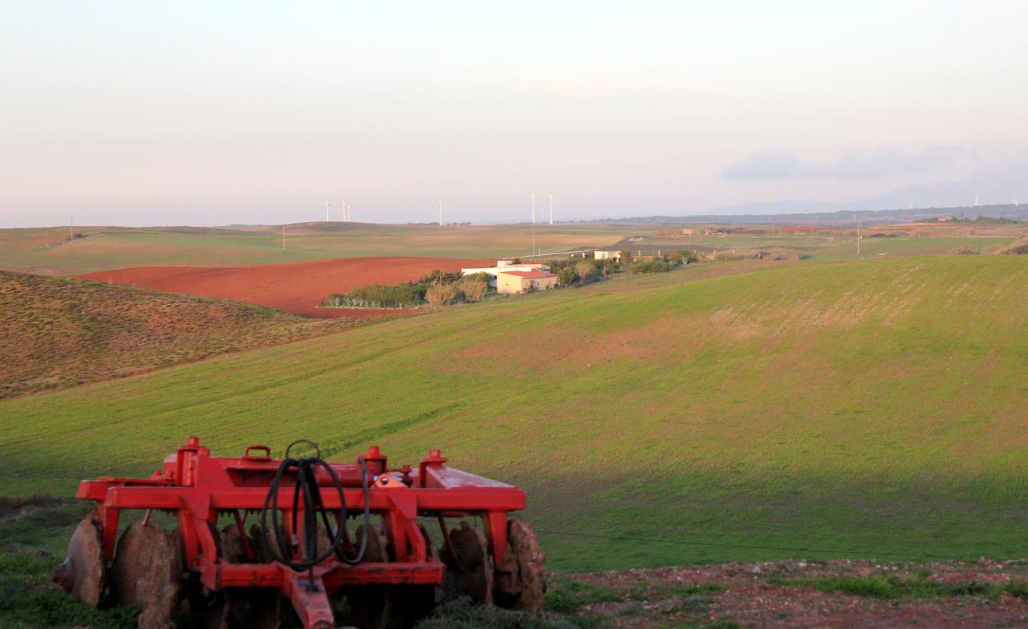 Monte De Santo Antonio - Turismo Rural Vila do Bispo Δωμάτιο φωτογραφία